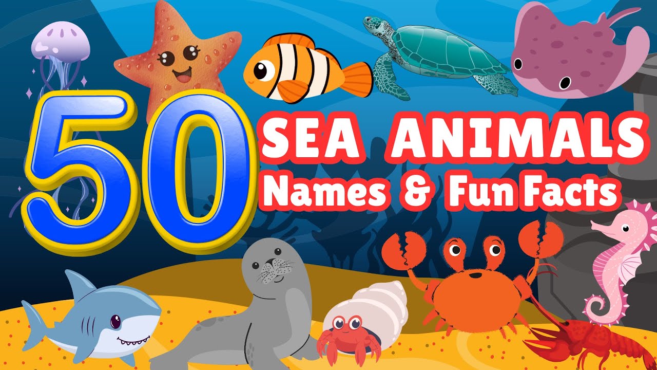 Learn 50 Ocean Animal Names & Cool Facts for Kids | The Ultimate Sea ...