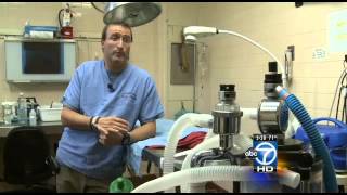 Montgomery County dog flu kills two dogs