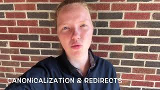 SEO for a Site Restructure - CANONICALIZE & REDIRECT