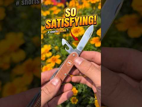 You Won't Believe How Satisfying This Knife Is  
