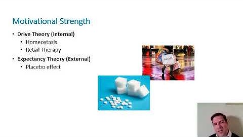 Consumer Motivation and Affect part 1 out of 2 (Ch 5)