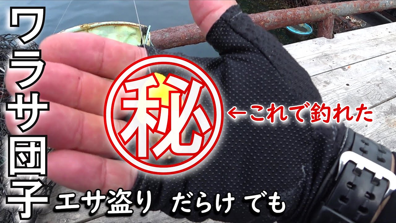 9月25日（水）海上釣り堀まるやで、釣り友さん達と釣りを楽しみました。やっと気温も落ち着いて、釣りやすい季節に・・・しかし水中はエサ盗りの集団が…さて、鯛やワラサは釣れるのでしょうか⁈