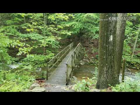 underdog-on-the-appalachian-trail-2019-day-98