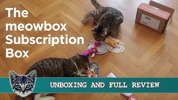 The meowbox Cat Subscription Box - Unboxing & Full Review