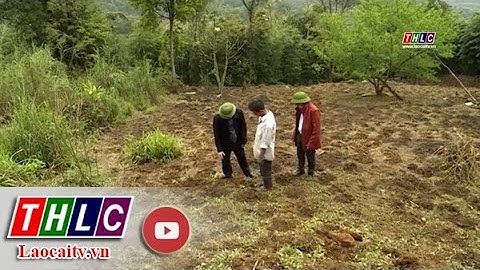 Bát Xát nâng cao chất lượng cán bộ cơ sở | THLC