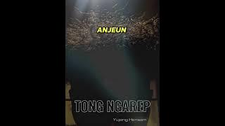 TONG NGAREP - Yujeng Hensem (official video lirik), cipt : yujeng hensem #tongngarep #pgh3channel