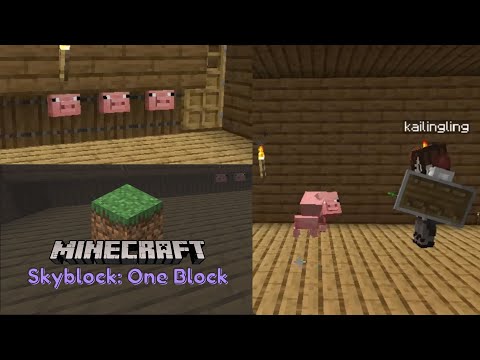 SKYBLOCK: ONE BLOCK #2 | Slaughter House
