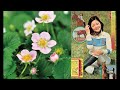 明日がある (1977) アジアの歌姫 鄧麗君 Teresa Teng テレサ・テン