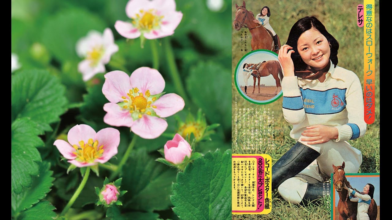明日がある (1977) アジアの歌姫 鄧麗君 Teresa Teng テレサ・テン