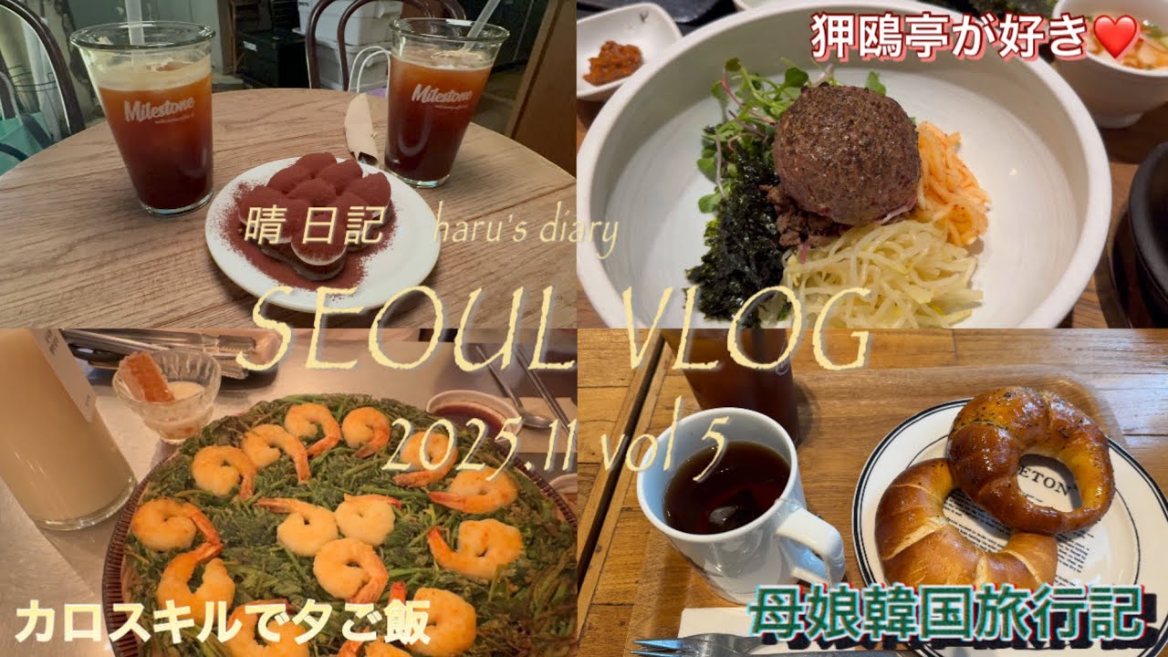 Seoul vlog 2025/11⑤アラ還母と20代娘の旅行記/牛屋/BETON駅三/シンサチジミ/カロスキル・狎鴎亭エリア