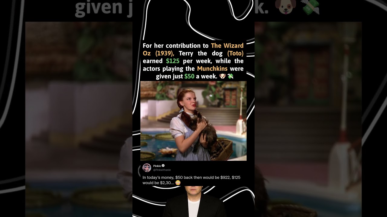 За свой вклад в фильм «Волшебник страны Оз» (1939) пёс Терри (Тото) зарабатывал 125 долларов в не...