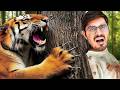Meeting Real King of Jungle   आज तो असली शेर से सामना हो गया   Crazy Trip