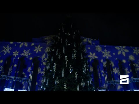 \"ქართული ოცნების\" არშემდგარი ზეიმი | ნაძვის ხის ანთების გადადება