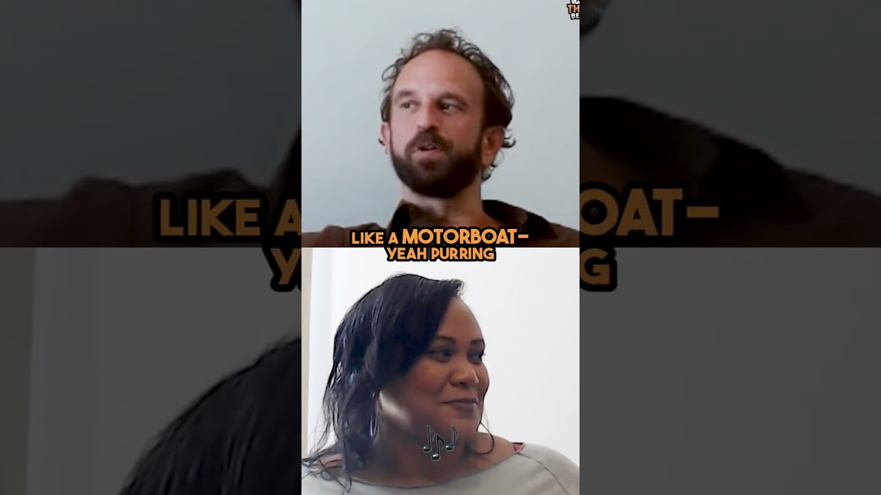 Our New Kitten Won’t Stop Purring 😅