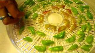 Drying Peppers - Wisconsin Garden Video Blog 176.avi