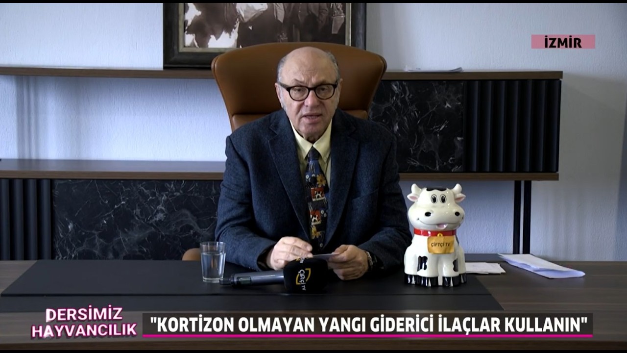 Hayvancılıkta En Büyük Hatalar: Prospektüs, B1, Kortizon ve Süte Geçmeyen Antibiyotik