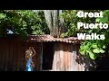 Great Walks in Puerto Escondido, Mexico
