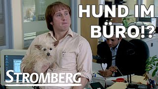 ’n Hund im Büro?!