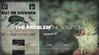 Cotton Pest Damage & Bollgard's Beginnings - Bollgard 30th Episode 1