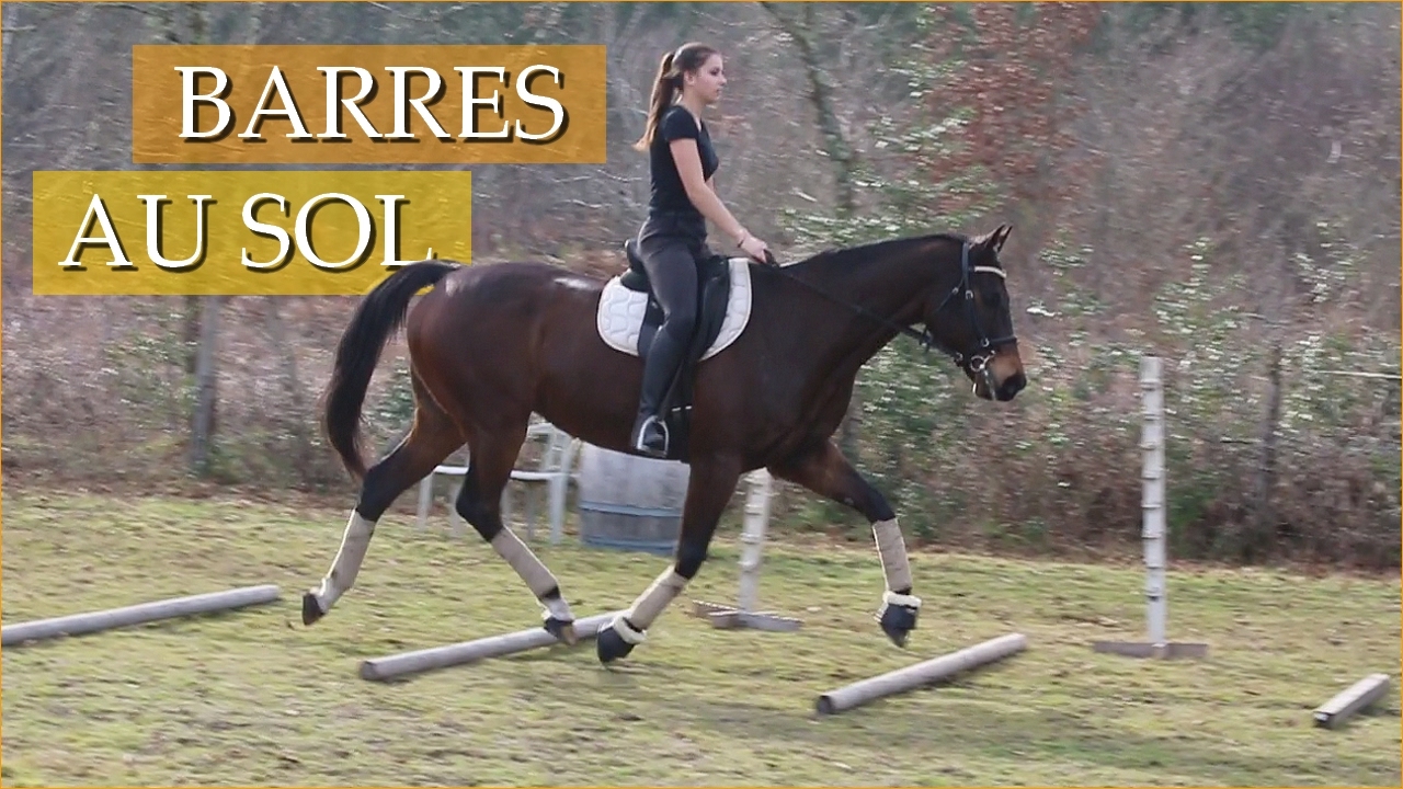 Les Barres Au Sol Distances Et Exercices Youtube