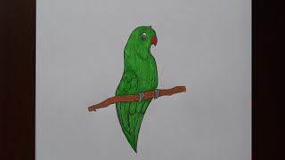 How to draw a Parrot 🦜 | Easy step by step Drawing for kids and beginners | Draw with Dark screenshot 3