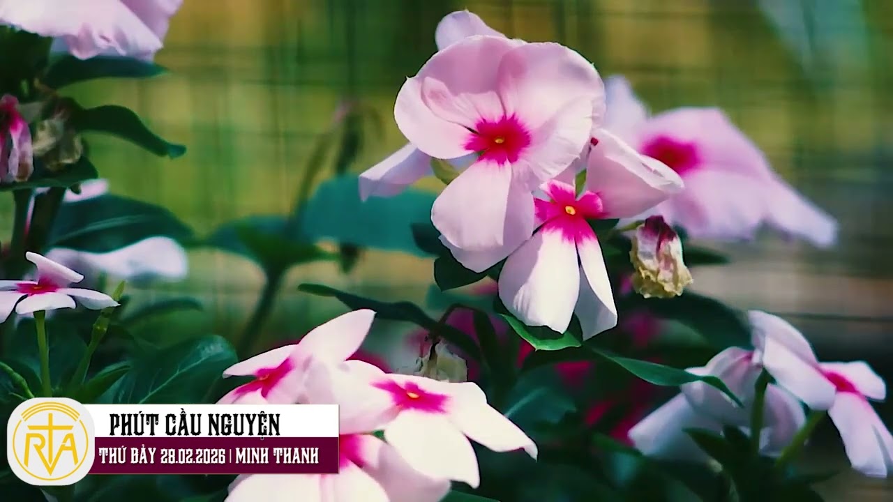 Phút Cầu Nguyện, Thứ Bảy 28/02/2026: Mùa Chay - tìm gặp Lời Chúa