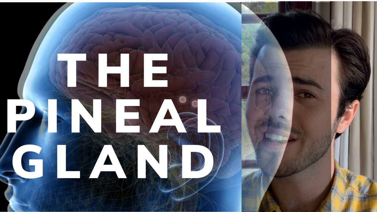 Secrets of the PINEAL GLAND - A Gateway to Spiritual Connection - YouTube