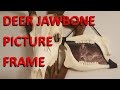 How To Make a Deer Jawbone Picture Frame How To Make a Deer Jawbone Picture Frame