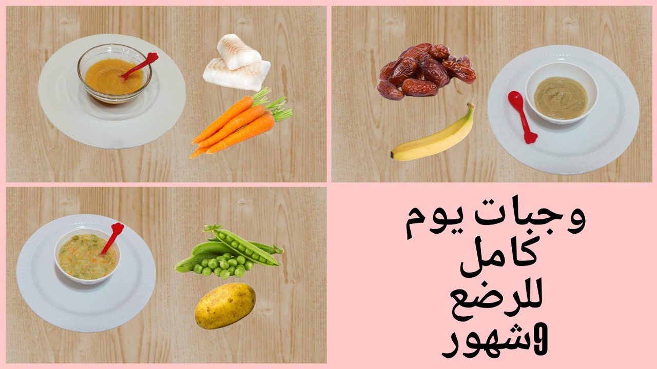 وجبات يوم كامل  للرضع عمر 9 شهور