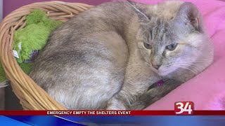Empty the Shelters Event