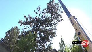 Bend church volunteer group collects firewood for future donations