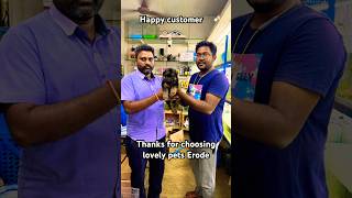 Happy customer 😊, #lovelypets #puppyshop #goldenretriever #petlover #dogslove #dogslove #trending