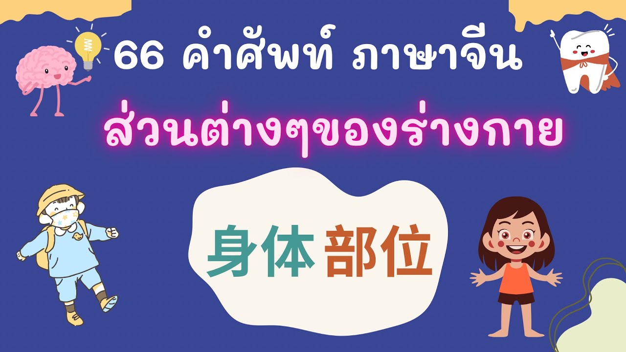 66 คำศัพท์ภาษาจีน ส่วนต่างๆ ของร่างกาย ( 身体部位 )