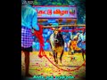 ✨Enke Nan Kathirukka 🔥..👿காளையின் காதலன் 💛.....#jallikattulover😍✌💘❤💯💕 #jallikattu_images🔥.......🤟✨👥💪