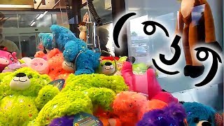 Bear Butt Sugar Loafgamergreen Claw Machine Wins