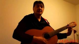 A ja sam negdje rujno vino pijo Zlatko P Cover by Prajo