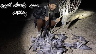 صيد طبان بكثره في مكان مسكون /حسين جواد 