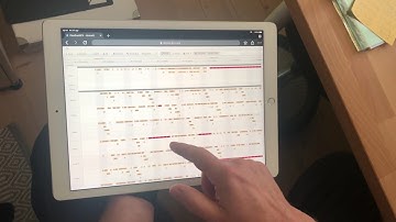FlexGanttFX running in Chrome on iPad