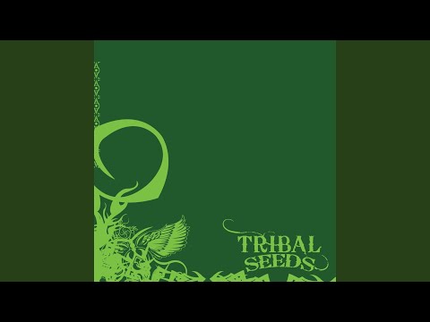 Dawn of Time - Tribal Seeds