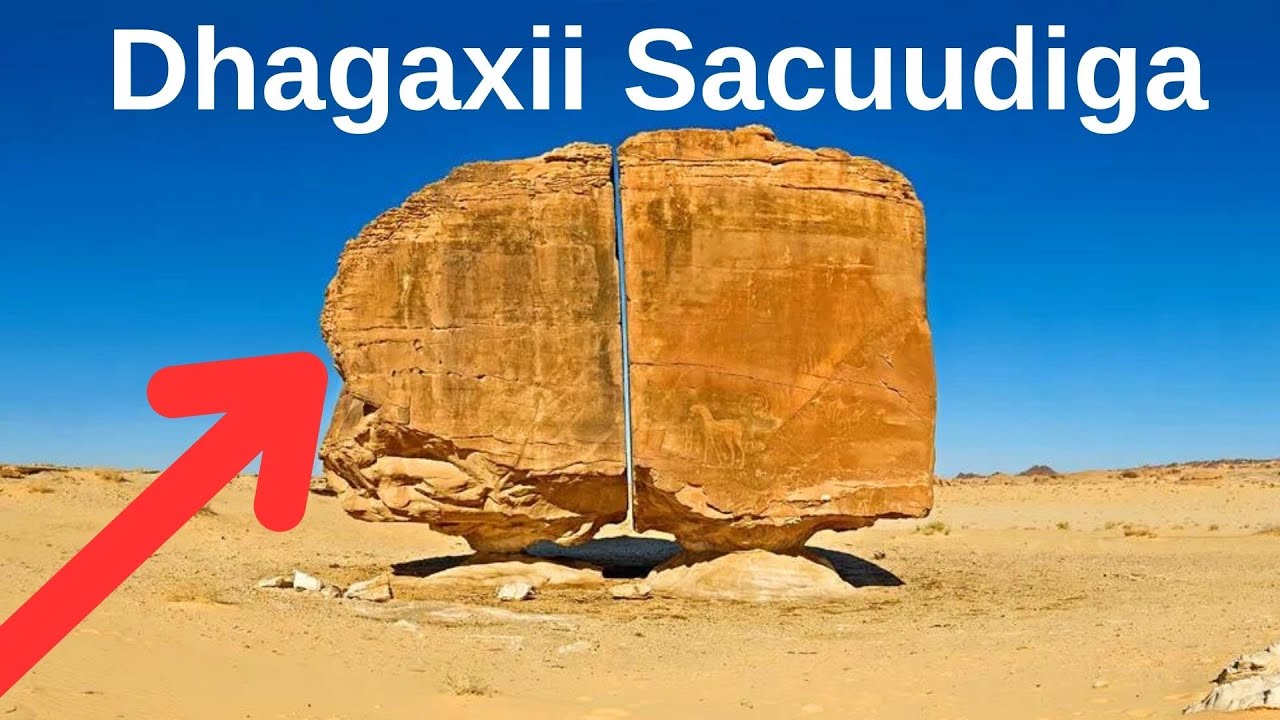 DHAGAX LAYAAB LEH OO SACUUDİGA KU YAALO AL-NASLA?