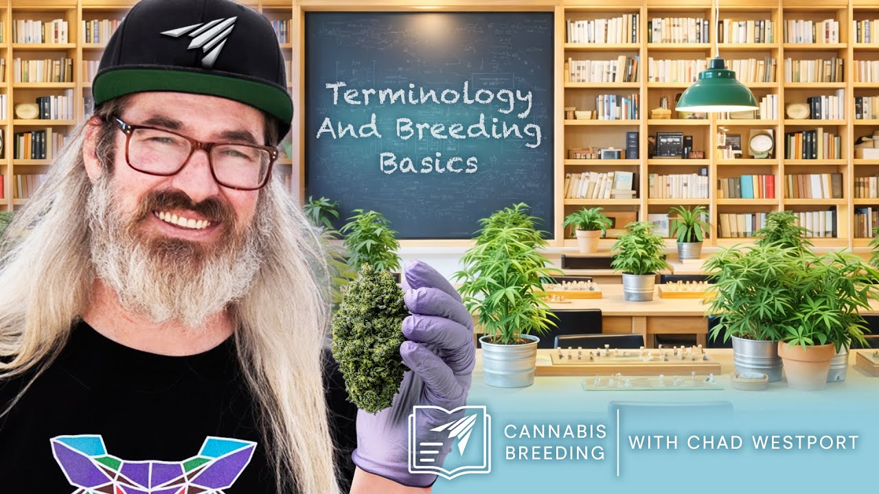 Terminology and Breeding Basics with Chad Westport | Learn with AC Infinity | Ep. 2