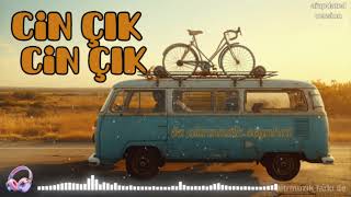 🎵 Cin Çık İbrahim Sarıpınar Cover | AI Updated Version