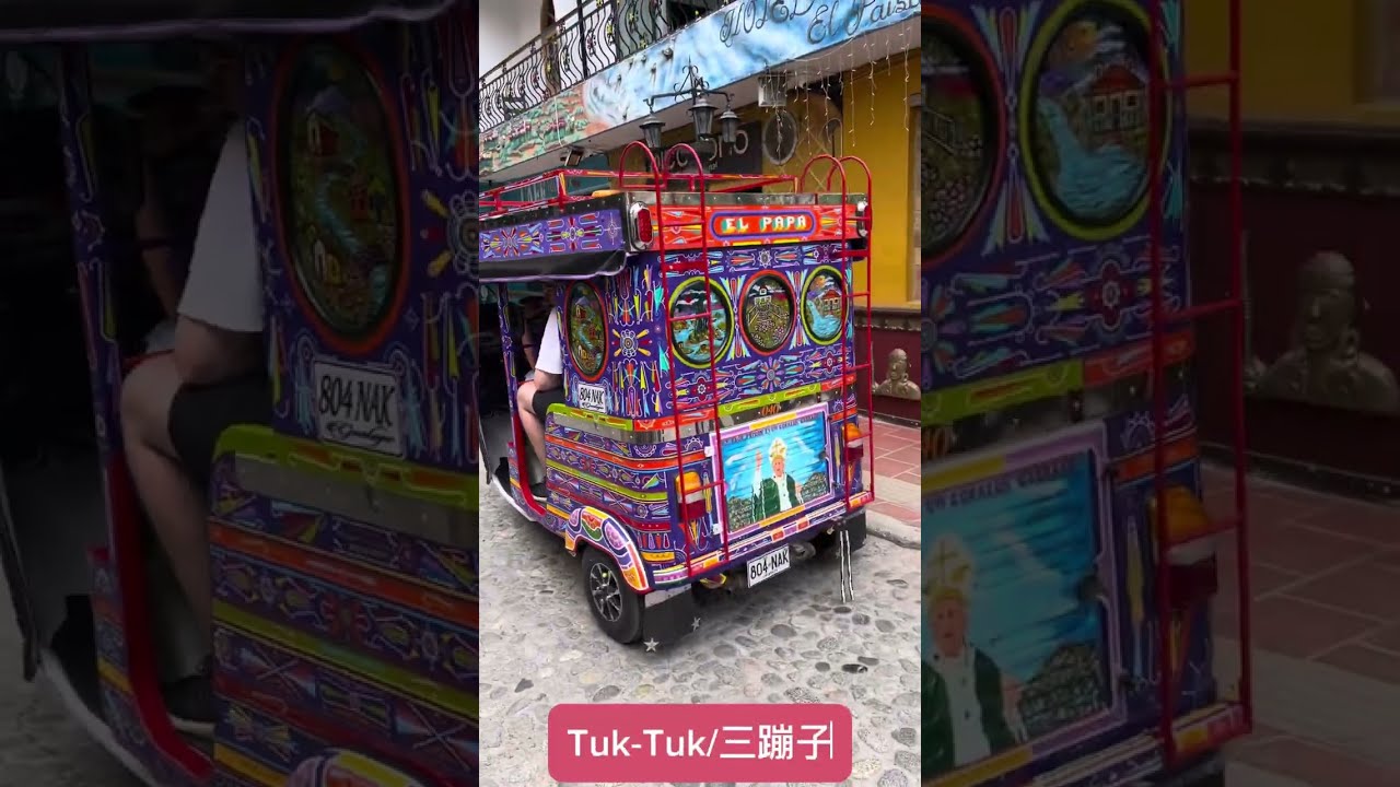 2024 Colombia Birding - more mobile footage