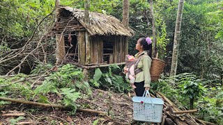 Is Living in the Woods the BEST OPTION for Low Income Single Moms?