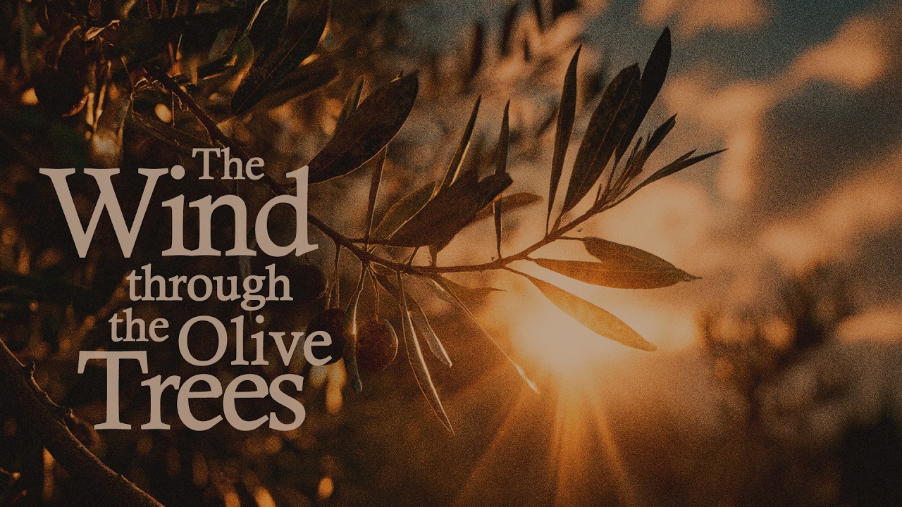 The wind through the olive trees | piano music instrumental Catholic lofi