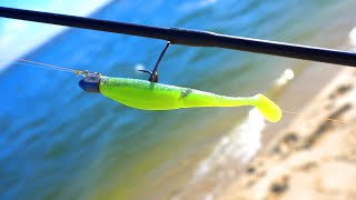 Beach Fishing BOTANY BAY Using Lures | Flathead & Whiting With Aleader Water Shoes screenshot 4