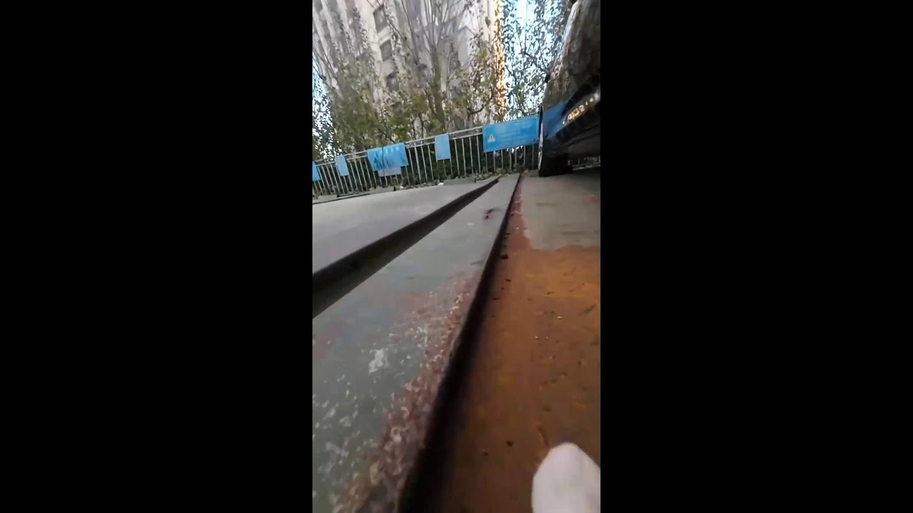 First-Person Cat: Urban Alley Exploration｜一人称猫視点：都市路地裏探検 2026-01-09 