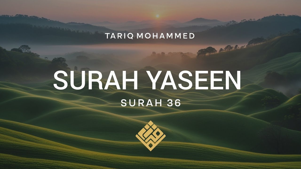 Сура Ясин Полный | Трогательное чтение Тарика Мохаммеда | Сэнсэй