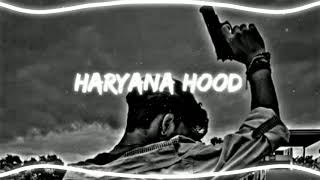 Haryana Hood slowed reverb PERFECTLY SLOWED