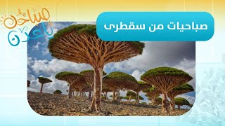 صباحك ياعدن | أعرف أكثر حول الأخبار المحلية في محافظة سقطرى مع مراسلنا سعد الجدمهي